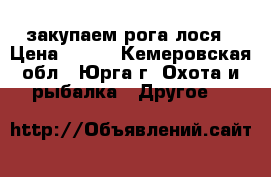 закупаем рога лося › Цена ­ 300 - Кемеровская обл., Юрга г. Охота и рыбалка » Другое   